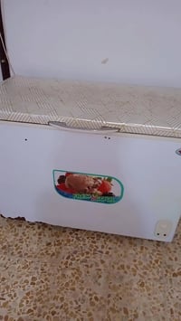 مجمده • نظيفه • تجميد فول