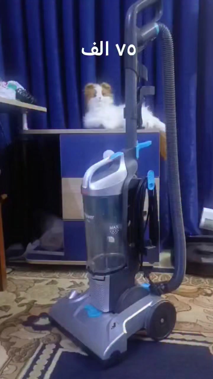 مكانس كهرباء 🌺
سعر على الفيديو. قطع ماركات


**إذا كنت صاحب هذا الإعلان وتريد حذفه لأي سبب، رجاءا أرسل رسالة إلى الدعم الفني**