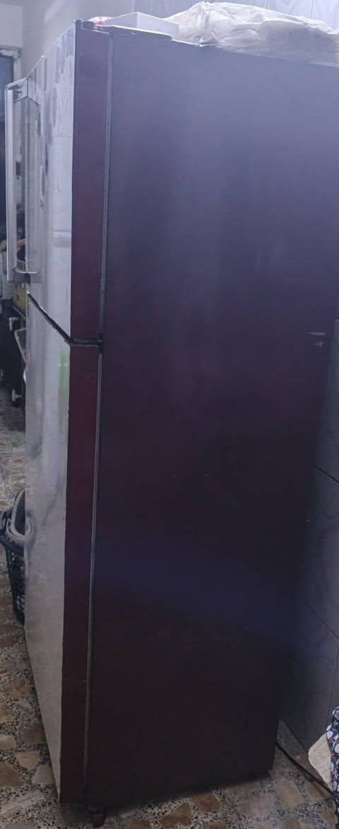 ثلاجة ١٨قدم شغاله نضيفة ب١٥٠ مكاني بغداد


**إذا كنت صاحب هذا الإعلان وتريد حذفه لأي سبب، رجاءا أرسل رسالة إلى الدعم الفني**