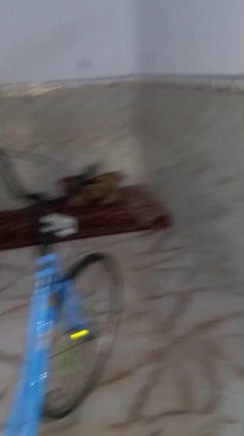 السلام عليكم
بيسكل للبيع الون 🩵
شركه BD 
مديل21
دسك90 طرم صفره 
البيسكل نضيف وحلو 
المكان نجق قرب باب الخروج مال المطار 
السعر 170 وبي مجال


**إذا كنت صاحب هذا الإعلان وتريد حذفه لأي سبب، رجاءا أرسل رسالة إلى الدعم الفني**