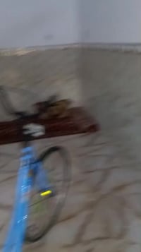 بيسكل • BD مديل 21 • نجق باب الخروج