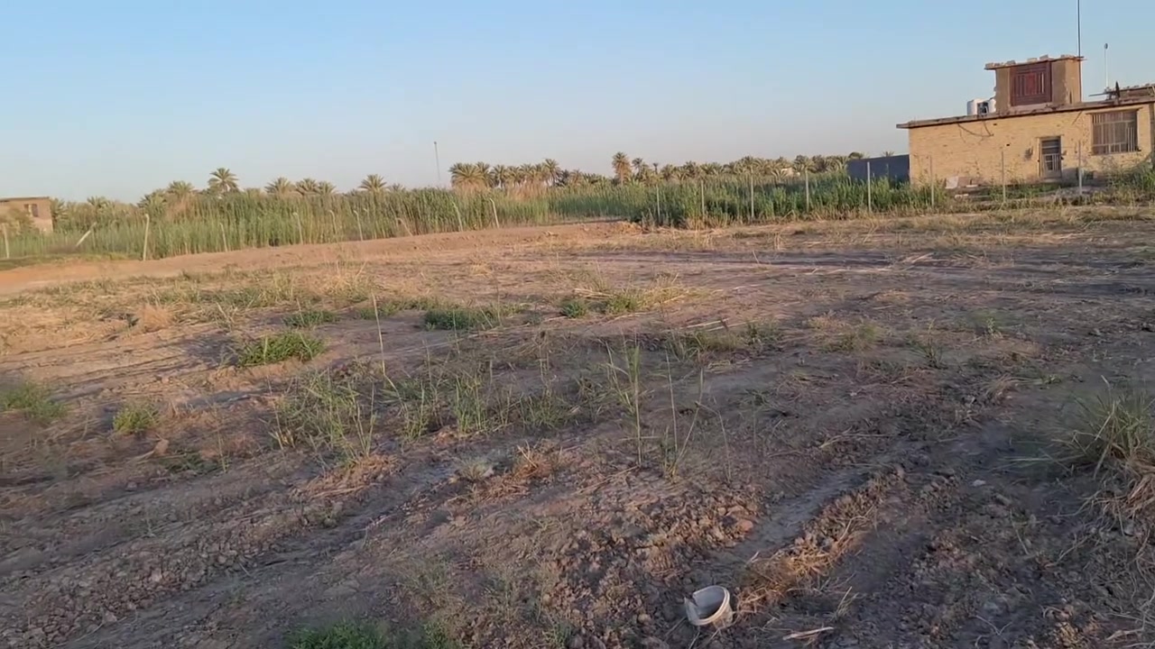 للبيع دونم طابو زراعي سند ٢٥ تحويل أسهم الواجهه ٤٠ متر ونزال الموقع طريق الرابط بين طريق بغداد مفرك الحسينيه وسوق العطيشي وتنزل طريق فرعي ٢٠٠ متر  سعر الدونم ١٨٥ مليون مجال بسيط للشراي 
يوجد ١٠٠٠ متر واجهه ٢٨ سعر ١٢٥ مليون مجال بسيط
ويوجد قطع مساحة كل قطعه ٧٥٠ متر سعر ٧٥ مليون مجال بسيط للاستفسار اتصال على الرقم ***********
ابو محمد المسعودي
