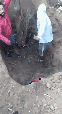 إلي عنده أي شغل الاتصال وخادم حفربناءصب سبتتنك تفليش بيوت تبوير مواد كلشي نشتغل ***********ترتيب حدايق
