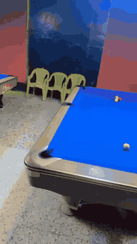 4 ميوزة يلن صاجي جدد الاستفسار تصال*********** او واتساب فقط خاص مقفول  ....
