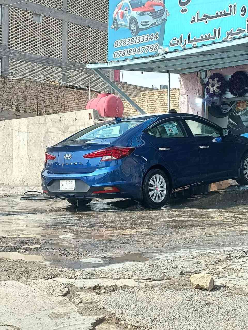 السلام عليكم للبيع النترا 2020 ورد امريكي معوقين بعد لها ثلاثه اشهر تصير حره راعيها موجود بيها خمس قطع ***********. السعر 120وبيه مجال
