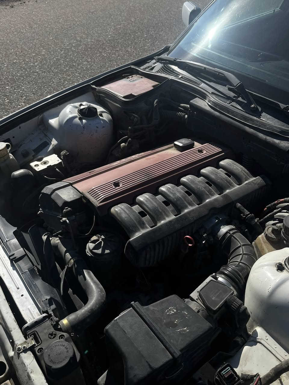 سلام عليكم #bmw
BMW 525i 

اصل ملصق وسنويه 

رقم بغداد سنويه لل٢٧ بآسمي ارقام نكليزيه 

شرط التحويل ثاني يوم 

كير محرك كله بشرط لاتنقيص لاتبخير  صافيه مصفايه 

غرفتها مايحتاج اسولف عليها هيه اسولف عله النضافه هستوني شادها اسود ملكي جلد تحكمات كله شغال 

السياره متعوب عليها نصبتها تخبل بلشارع وارد ياباني 

بدون صبغ عام فقط البنيد مصبوغ ولامعمره ولا بيها خياس مكينه مسكر عدله  حداديه جديده وره وامامي صبغتها مامجورده السياره احلى من الصور 

عوزها فقط تبريد وجان شغال كلشي مابي نقص غاز اني اكلك منضومه واني بلخدمه سبب البيع متوازي عله فلوسها الله شاهد وبلعافيه عله الي ياخذها 

مكاني النجف الاشرف حي النداء 

للستفسار اكثر واتساب 

*********** 

سعرها ٦٢ وبيها مجال تجي تشلع اعيوني تاخذها وتروح واسف عله الاطاله🤍.
