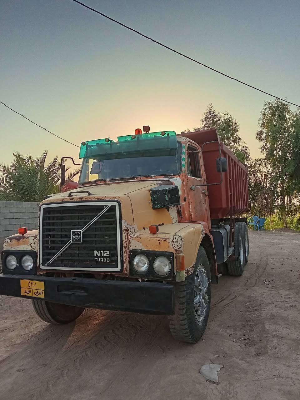 كلابي فالفو للبيع ***********
