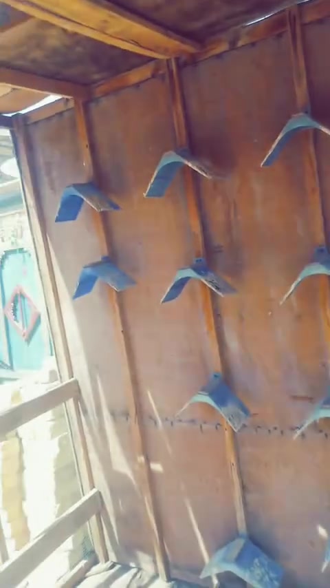 قفص للبيع جاهز على اخر حبايه حبايه 100وببه مجال بسيط ومستعجل على بيعته
***********
