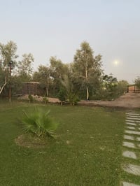 سنيه سياحي • دونم • سند ٢٥