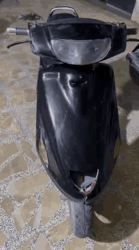 دراجه فورتي ١٤٠ كهربائي    كلجات. طفت عندي بيع كوم حديد بغاد الحريه سع...