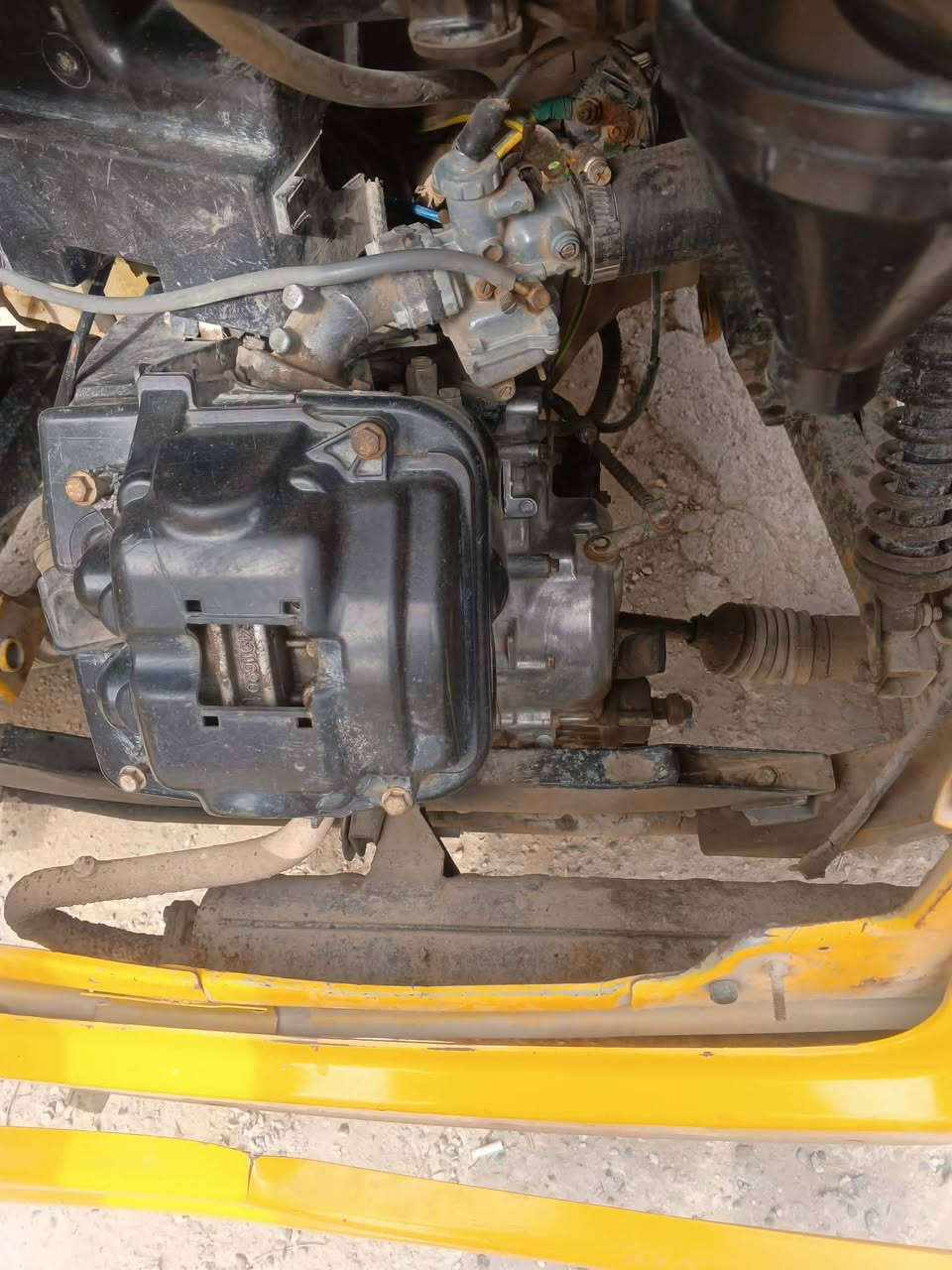 تكتك للبيع موديل 20 اوراق أصولي 
شراي طب خاص ***********
