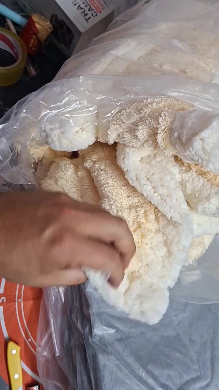 الاسعار مذكور بالفيديو


**إذا كنت صاحب هذا الإعلان وتريد حذفه لأي سبب، رجاءا أرسل رسالة إلى الدعم الفني**