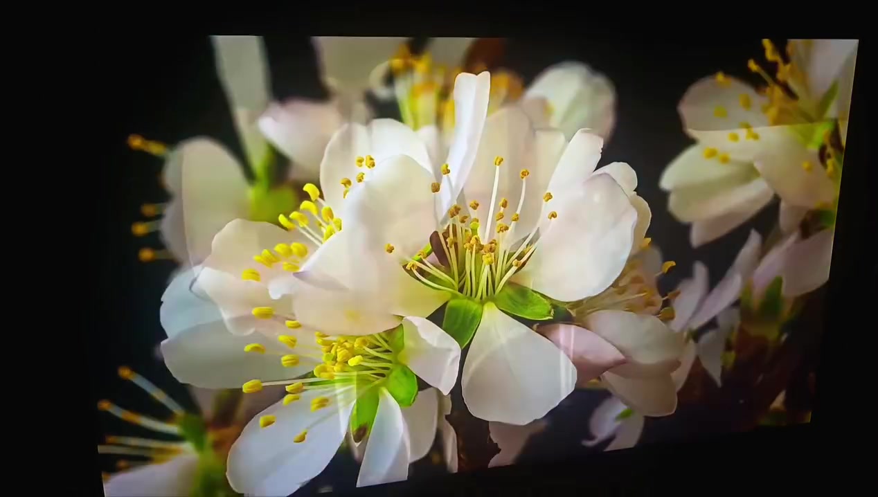 2k  -  180hz  -  0.5ms  - 27inch

جديدة استعمال ايام  نضافة 100%. 

بيها ستوك بيكسل ( stuck pixel) واحد فقط لونه احمر ممأثر علا شي ، يضهر من تشغل لون اسود كامل ،  يعني من تشغل لعبة أو فيديو مراح يبين . الوانها كلش حلوه ومشبعة وواضحة .
 
190 الف 

توصيل متوفر


**إذا كنت صاحب هذا الإعلان وتريد حذفه لأي سبب، رجاءا أرسل رسالة إلى الدعم الفني**