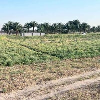 ارض زراعية • ارض للبيع • ارض زراعية حلة • اراضي للبيع • ارض خدمات كامل...