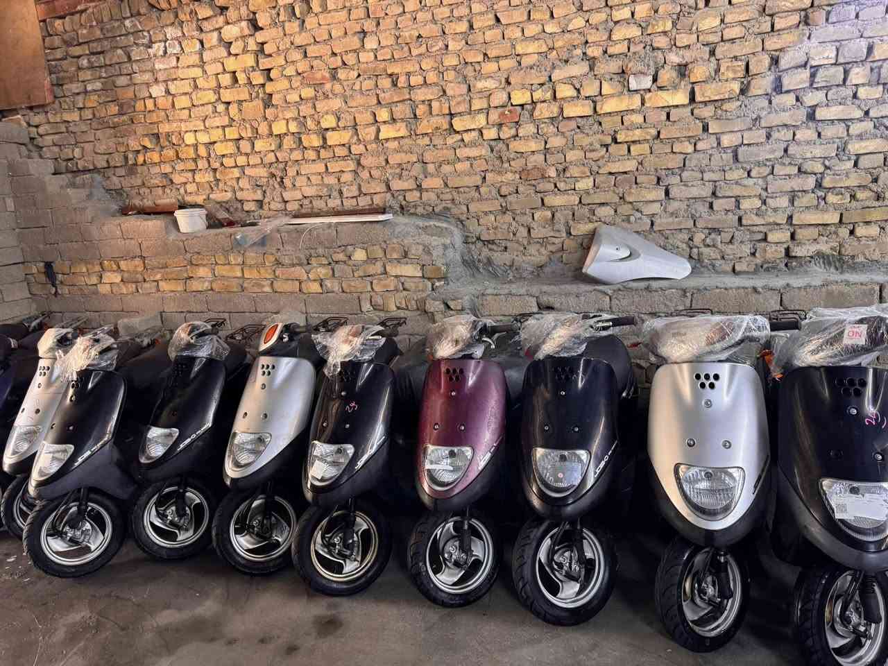 ❤️‏﷽ 💚

(يَا أَيُّهَا النَّاسُ اذْكُرُوا نِعْمَتَ اللَّـهِ عَلَيْكُمْ هَلْ مِنْ خَالِقٍ غَيْرُ اللَّـهِ يَرْزُقُكُم مِّنَ السَّمَاءِ وَالْأَرْضِ لَا إِلَـهَ إِلَّا هُوَ فَأَنَّى تُؤْفَكُونَ).
 
💙زبائننا الكرام🙋‍♂️ :
📢يعلن مجمع المؤمل عن وصول درجات حاويه جديده نوع  اكزز منغولي  بتره قفل اكسن بيجي مصري عصفوري
تاريخ2026/3/31
عنون/ناصريه قرب حمام الحيدري مقابل باب صفاة الطيور
الاتصال/***********
       
بادرة /احمد الحسيناوي
