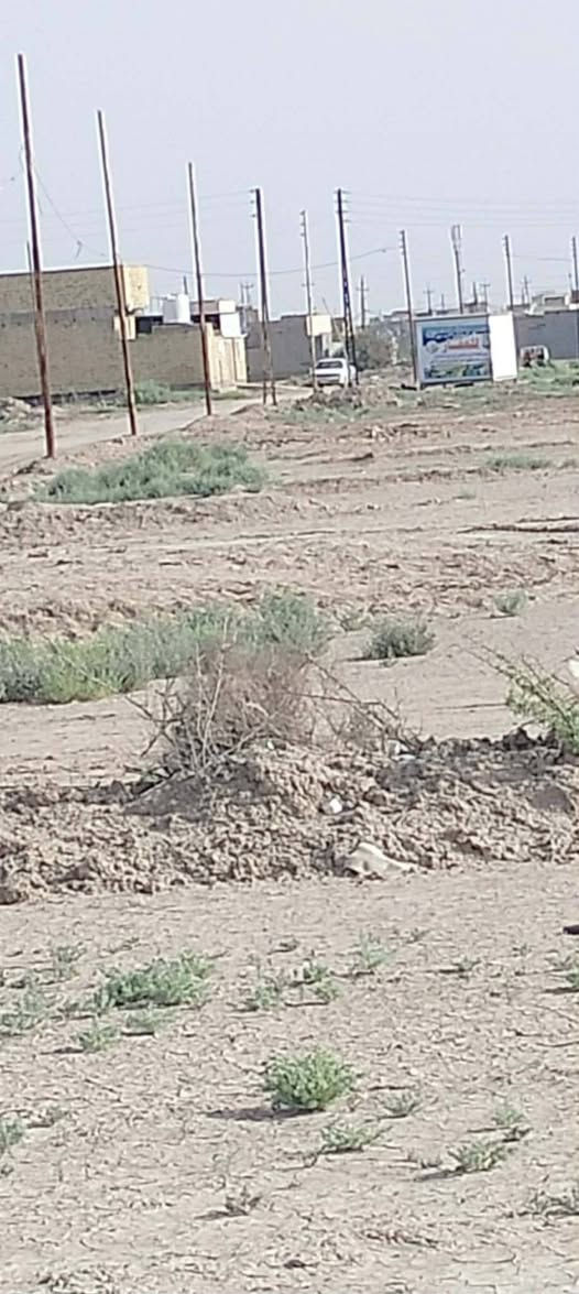 قطع لبيع بحي سبل الولى خدمات متوفره القطعه 203متر عله شارعين سعر القطعه ٥مليون ونص ستفسار ارقم الهاتف ***********
