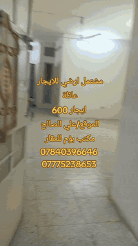 مشتمل للايجار ارضي  عائلة فقط  التفاصيل  غرفة نوم  صالة  مطبخ  صحيات  ...