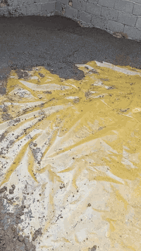 السلام عليكم يوجد لدينا بيوت على الشارع الرئيسي شارع سيد عوده  العنوان بغداد مدينة الصدر الحميدية شارع سيد الاتصال ***********
