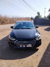 النترا • ٢٠١٧ • وارد كندي