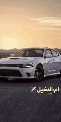 ام النخيل • الموصل • رحلات تركيا وايران