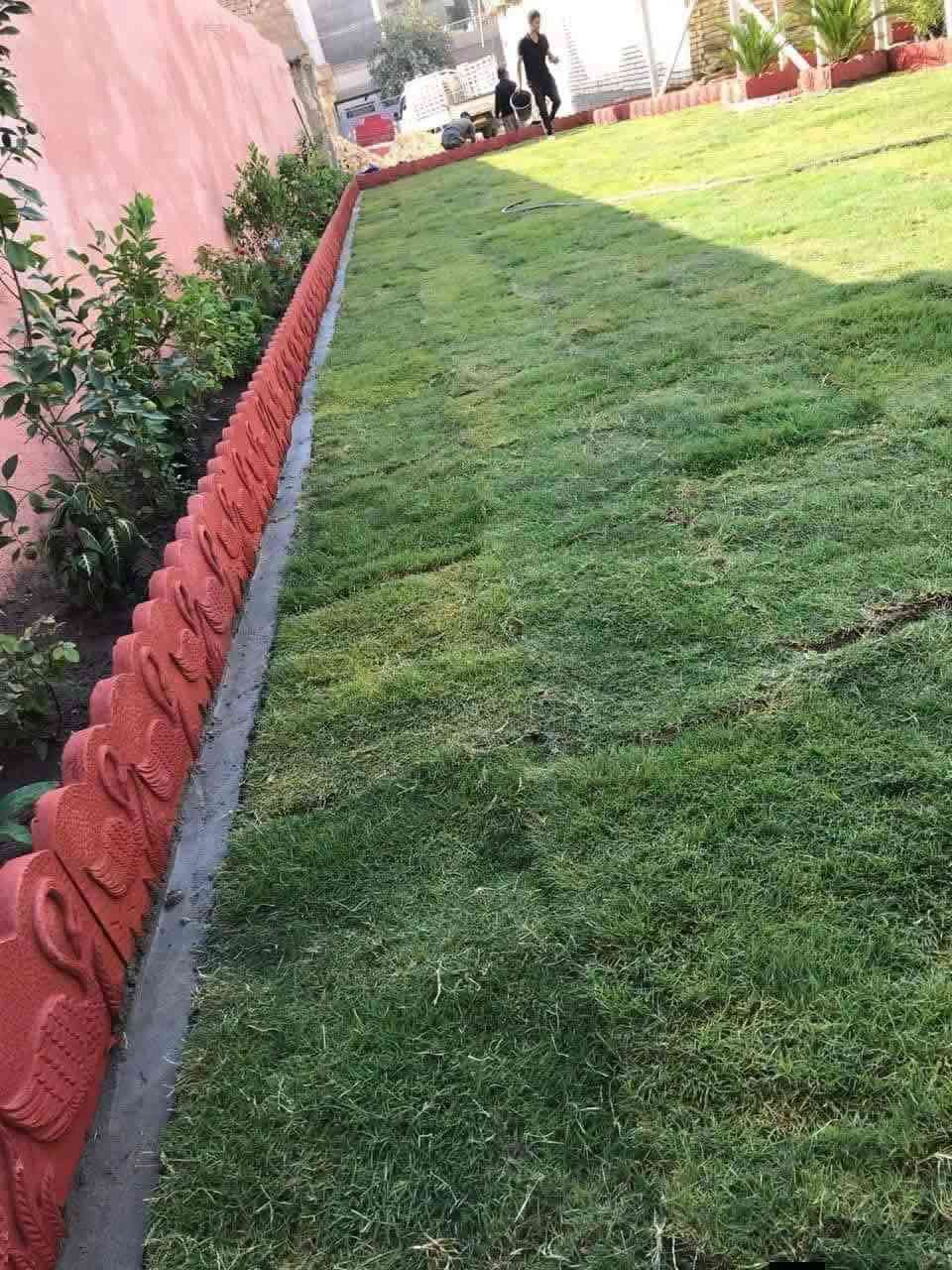 عندك ادامه احنا موجودين عندك قص ثيل ومحتار حنه موجودين عندك دامه الحديقة حنه موجودين كافت ما تحتاجه حديقتك خدام الجميع خاص مفتوح للجميع
ديالى شهربان كافت مطانق ديالى خاص مفتوح للجميع


**إذا كنت صاحب هذا الإعلان وتريد حذفه لأي سبب، رجاءا أرسل رسالة إلى الدعم الفني**