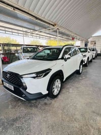 كروز هايبرد • ٢٠٢٤ • رقم بغداد