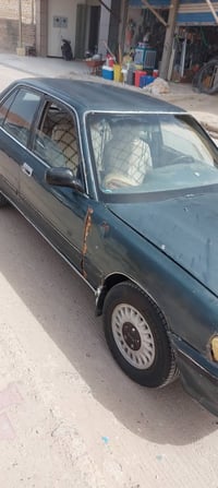 الحله • محاويل • سنويه موجوده