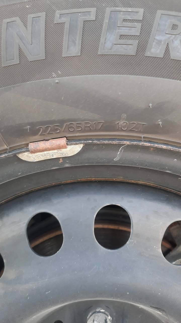 للبيع
تخم تاير مع ويل اصلي بلاد 
حجم 225/65R17
كان مشدود على راف فور ياباني ٢٠٢٤ دخول جديد امريكا

سعر التخم كامل ****
ويل + حساسات + تاير  ٤٠٠ الف 
بصرة حي الحسين 
***********
فقط تخم كامل ابيع
