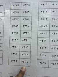 حي الحشد الشعبي • ٢٥٠م • طابو باسمي