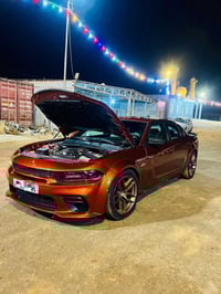 ٢٠٢٠ • ٤٦٠٠٠ • مشمشي اصل