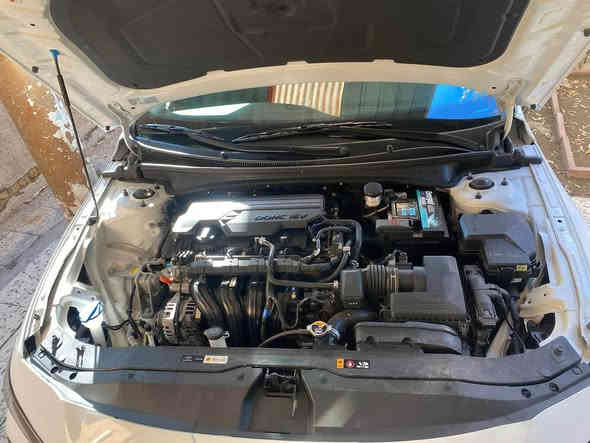 السلام عليكم 
النترا 2024 فول مواصفات 
لون ابيض
مرقم بغداد
بدون صبغ كلين. 
قبق جنطه. تبديل. نفس الون بلادي
بدون ايرباك
فتحه سقف
بصمة 
تشغيل عن بعد
دخول ذكي 
تدفئة بلكشنات
تدفئه بالستيرن
تبريد منفصل
شاشة متصلة كبيرة 
عدادات دجتال
رادارات اماميه وخلفي وجانبية
السيارة جديدة بمعنى الكلمة
السيارة باسمي تحويل ثاني يوم
مرقم بغداد
العنوان بغداد الكرخ
غير متواجد ع الفيس بوك

*********** بغداد
