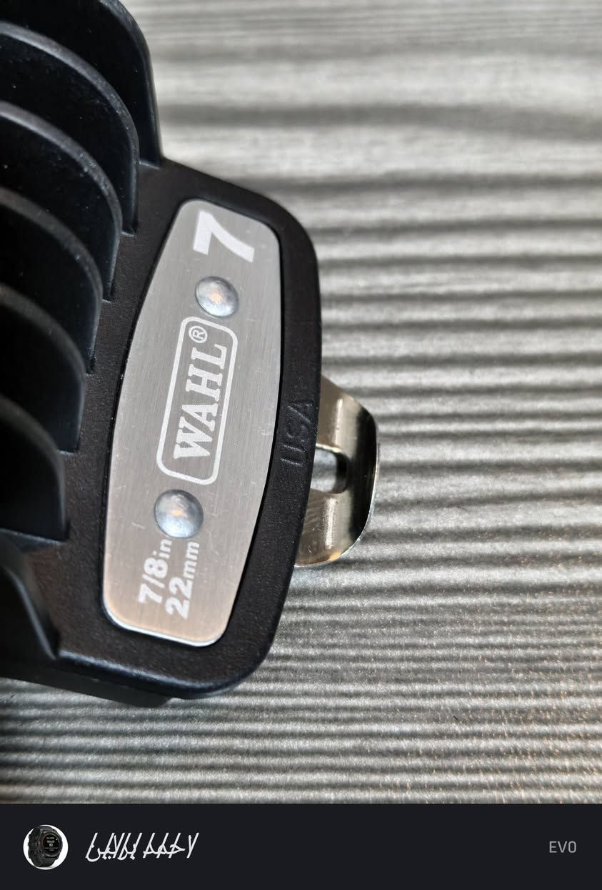 سيت مشط ول أصلي


**إذا كنت صاحب هذا الإعلان وتريد حذفه لأي سبب، رجاءا أرسل رسالة إلى الدعم الفني**