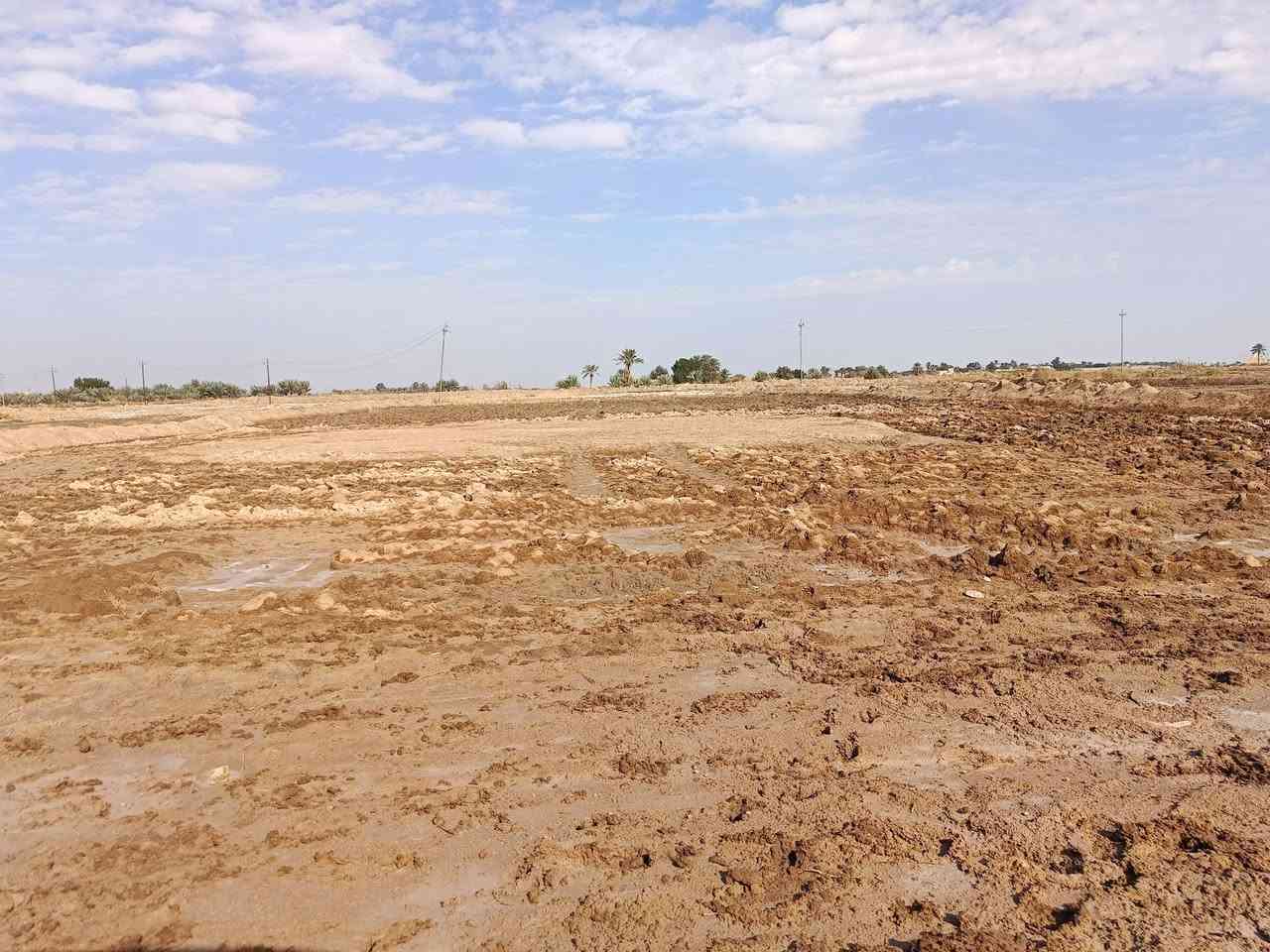 ارض زراعيه للبيع 3 ونص   دونم  شارع  ماي كهرباء قريبه علئ مدرسه ثبات الابتدائيه طريق سيد محمد  تبعد عن المدرسه تقريبا  600  متر  تواصل ***********
