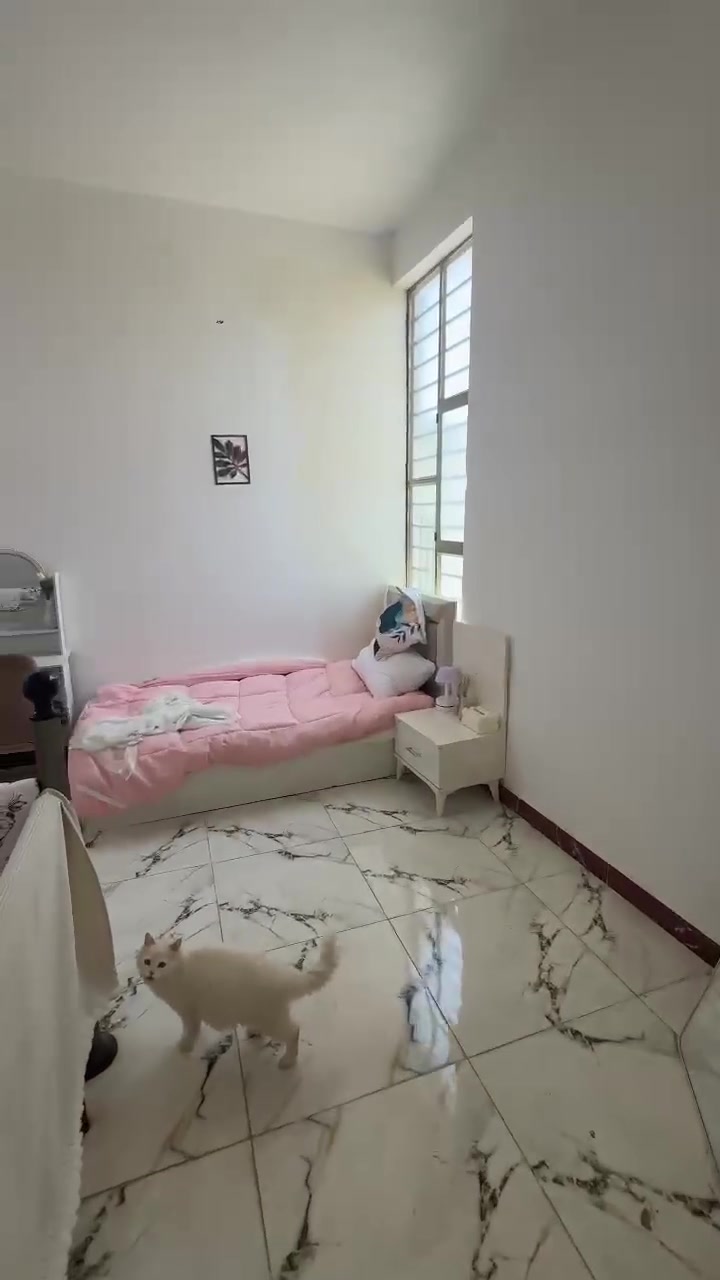 غرفه نوم نفر واحد  بناتيه متكونه من سرير واحد وكنتور بابين وتسريحه مكياج ومجر صغير يم جربايه ومراية  وسعر يكون 350الف ليريد يستفسر خاص 🦢🤍


**إذا كنت صاحب هذا الإعلان وتريد حذفه لأي سبب، رجاءا أرسل رسالة إلى الدعم الفني**