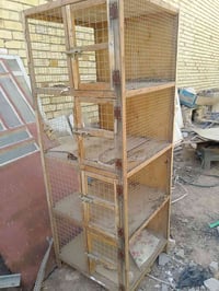 قفص طيور • بلابل • ٤ خانات