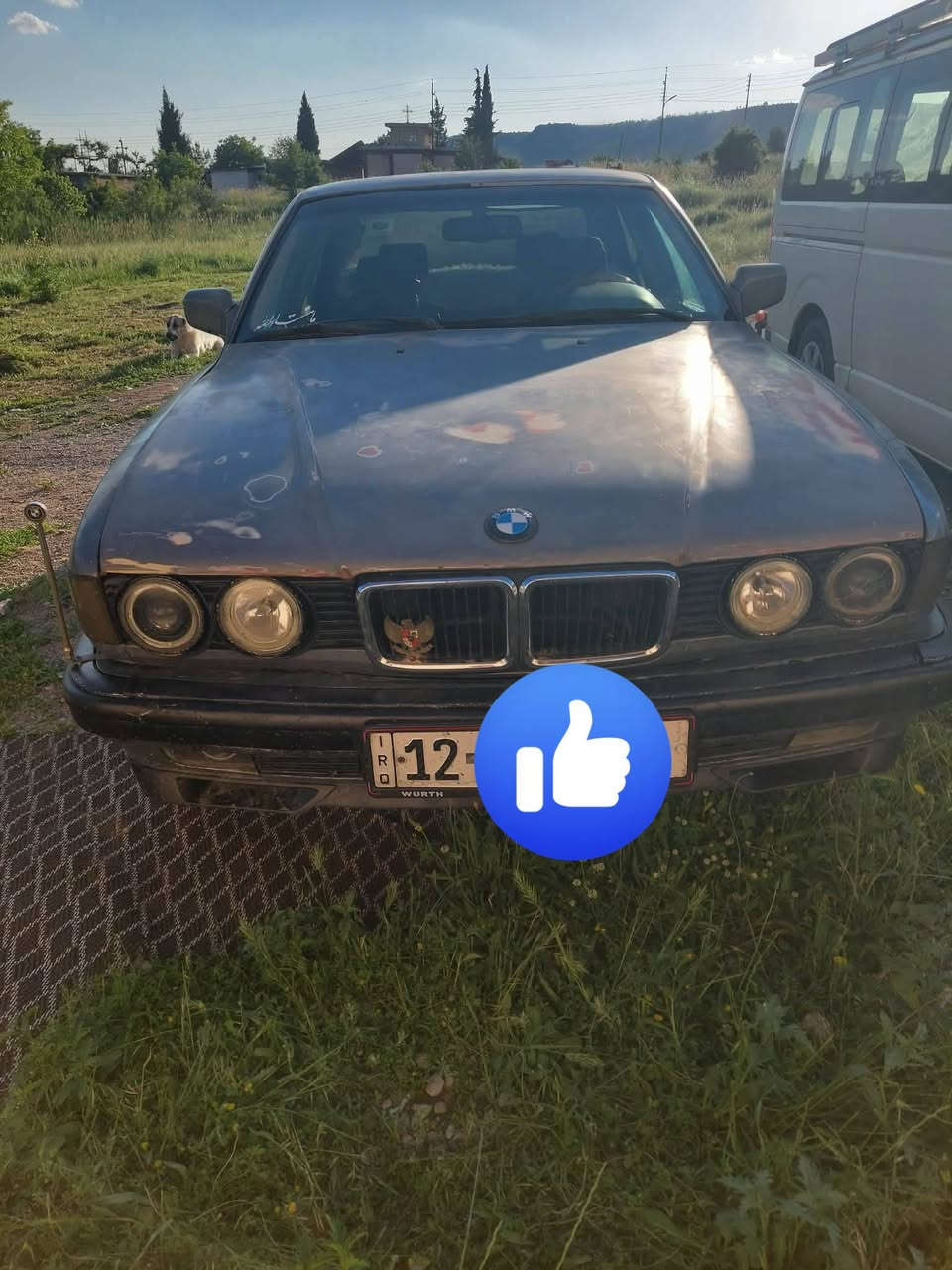 سلام عليكم Bmw 735
بيهة محرك 30
سياره شوفت عينك سيارة كاعدة عوزهة بس صبغ
و نقص حداديه و تايرات خلفيه
تبريد شغال
سعرهة 35 و بيهة مجال
***********

