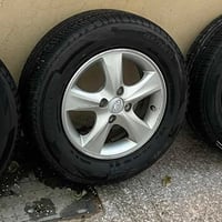 ويل كب • حجم ١٤ • اكسنت