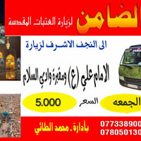 النجف الاشرف • زيارة الامام علي • التجمع الحمزه الغربي