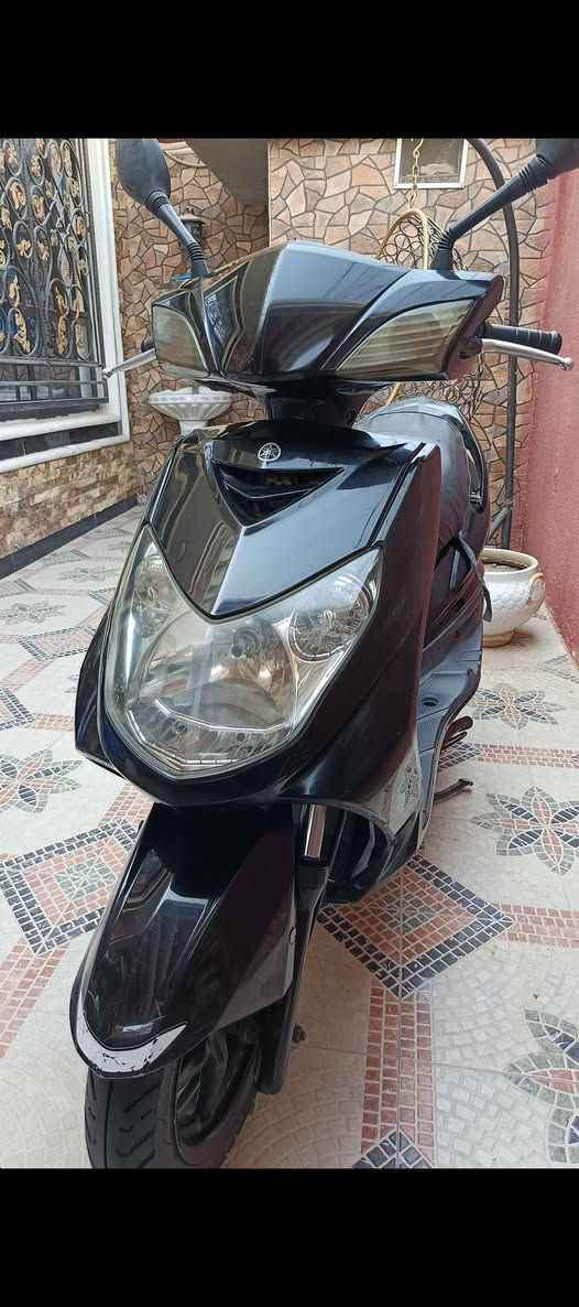 السلام عليكم سكنس فحل للبيع دراجه نظيفه العنوان بابل شارع 80
السعر واتساب ***********
