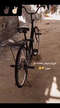 باسكل • للبيع • خاص