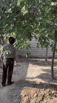 اعلان متوفر بيت كبير طابق ارضي للايجار في منطقة ثيلة قرب كلية الصيدل  مساحتة 800متر ايجارة 600وبي مجال  يتكون من كلدور واستقبال ومطبخ وصالة وغرفتين نوم ومجموع حمامات داخلية وخارجية وحديقة كبيرة وكراج كبير  للاستفسار الاتصال على الارقام التاليه ***********
***********
