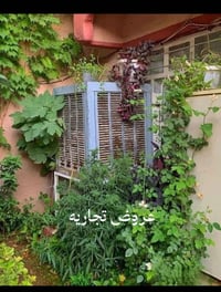 عقارات تجاريه • سوك الحله ١٧٠٠م • بنايه ١٨٨م