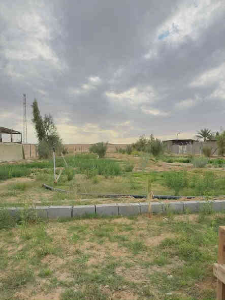 مزرعه للبيع مساحه دونم السعر ٣٣
مسيجه بالكامل تحتوي على نخل
ومشتمل ومرشات زراعيه
هيت قرب مزرعة الغزال 
للاستفسار ***********
