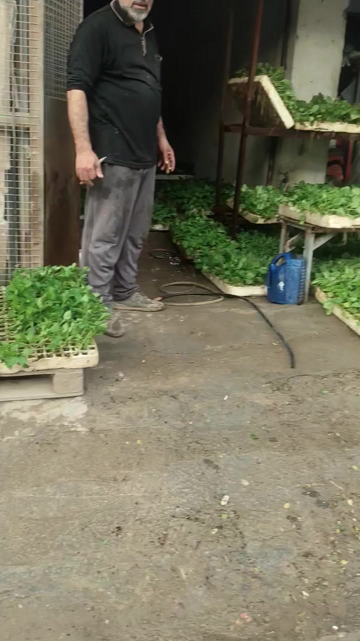 السلام عليكم تم وصول وجبه بيذنجان وطماطه وفلفل حار وفلفل بارد الى علوة ومكتب ابو زيد الخيكاني بسعار تنافسيه جمله مفرد لصحاب المحلات ولفلاحين العنوان بابل الكفل رقم الهاتف ***********
