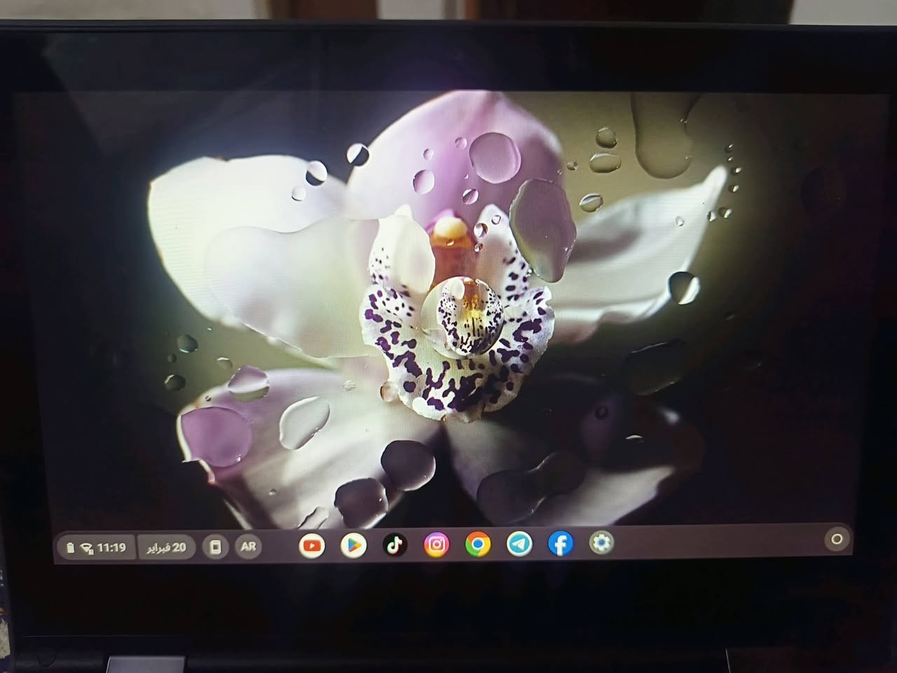 لابتوب لمس قلاب 360 ليونفا نظام اندرويد كروم ذاكرة 32 نظافة اللابتوب 100 السعر 100 وياه شاحنه اصلية وجنطه مكاني بغداد العبيدي الرئاسة شارع 20 رقمي ***********
