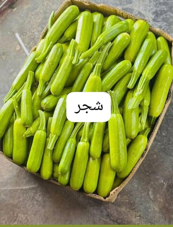 ......😊علوة زاد الخير😊

💸يَأْتِيهَا رِزْقُهَا رَغَدًا مِنْ كُلِّ مَكَانٍ💸
  
(لسنا الوحيدين لكننا الافضل)

طماطه عراقيه 500
اسود عراقي 750.
بصل اصفر 750 
فلفل عراقي باررد 1000
بصل احمر ابيض 1000
شجر عراقي 1000
بطاطا عراقيه 1000
جزر مصري 1000
عطوزي خيار 1000
فلفل عراقي حار 1500
خيار عراقي 1000
خس كيلو 1500
فاصوليا خضوه 2500
لوبيا عراقيه  2000عرض
بامية عراقية2500
بامية خشنه تشريب 1500
جملة 5فوك 2500 كيلو
ركي عراقي  750حكه 3
بطيخ 🍈 750 حكه 3
… ادوات طرشي… 
لهانه بيضه 750.3بل 2000
لهانه حمره 750.3بل2000
قرنابيط عراقي 1000
ثوم 🧄جيس 1000
ثوم وزن 4000 نص 2000
ت سفرة استعمال واحد 1000
حصالة. او قاصة  1000
اذره جاهزه 1000
   .❤️❤️.الفواكة❤️❤
تفاح عراقي ناعم 1000
برتقال سوري 1250
تفاح احمر 1250
تفاح اصفر 1500
عنب 🍇 عراقي ابيض1500
عنب 🍇 عراقي اسود 1500
كوجه حمره 2000
عرموط عراقي 1500
لالنكي عسلي 2000
موز صومالي 2000
خوخ كعكي عسلي 2000
خوخة🍑 صوفي 2000
خوخ مسكي 2000
مشمس مصري 2000
ليمون تركي 3000
تفاح سكري  🍏 3000
كرز 🍒 كيلو 4نص 2000
زنجيبل كيلو 8 نص 4 ربع2
تمر خستاوي جيس 1500
....الخضروات…. 
 كرفس معندوس كراث جرجير 10 الف 
رشاد باكه500كبيره
ريحان باكة 3بل 500
فجل احمر 500
شبنت 500
سلك  باكه 1000 
جيس تمر خستاوي 1500
طرشي خل عادي 1000
طرشي مزيت جيس نص 2000

🍖الدجاج ذبح ومقطع.. 
دجاجة ب🍗 8الاف وزن 2كيلو فوك
عروض مقطع 
افخاذ دجاج  6000
صدر دجاج 🍗 6000
كبده مع حواصل 6000
اجنحه دجاجة 🐔 6000
......👈لحوم عراقيه

لحم 🍖 غنم 22 نص 11ربع 5500
ليه غنم 20 نص 10 ربع 5
لحم 🍖 شرح 18نص 9 ربع 4500
لحم 🍖 مثروم 18..نص 9 ربع 4500
… 🤚الغذائية المتوفر… 
لامندوزي جيس 500
شطه علبه  500 
نومي بصره جيس 500
شعرية جيس 500
معكرونية 500
قوطيه بزاليا جزر 500
معجون 1000 صغيره
معجون كزاز 2000
سفرة استعمال واحد 1000
اكياس نفايات 1000
بزاليا عراق الخير 1000
فاصوليا علبه 1000
حمص لبلبي 1000
دبس صغيره 1000
راشي صغيره 1000
معجون صغيره 1000
كجب 1000
صاص 1000
ثوم مطحون 1000
بصل مطحون 1000
كركم مطحون 1000
كركر عادي 1000
سبع بهار 1000
دبس رمان 1000
بهارات برياني 1000
بهارات جدر 1000
بهارات دولمه1000
سماك  1000
شاي 🍵 جيس1000
بهارات تشريب  لحم 🍖 1000
بهارات كص لحم 🍖 1000
بهارات تشريب دجاج 🍗 1000 
كاري 🍛 1000
بابريكة 1000
كمون مطحون 1000
طحين صفر 1000
شكر كيلو 1250
ماينوز علبه 1500
ماينوز فلفل 1500
ماينوز خردل 1500
يوجد معطر جو 1500
تمن جيس 2000 
تمن حصة.1000 كيس كيلو
ماجي لحم 🍖 2بربع
ماجي دجاج 🍗 2بربع
ملح ناعم جيس بربع
ملح خشن كيلو 1000
زاهي وزير 1000
معطر ارضيات 1000
خل ابيض 1000
خل اسود 1000
خل ليمون 🍋1000
خمره صغيره500
طحين جيس 1000
دهن الدار بطل 3000
دهن الدار بطل 2500
 يوجد خبز 🍞 البيت 5الف
تبدي اوقات التوصيل من ساعه 11ونص صباحا الى الساعة السادسة 🕖 يتوقف
للحجز دز قائمة وللعنوان جواهه ماسنجر او واتس آب الرقم ***********
خدمة.توصيل 1000باب الشقة
ملاحضة .. مبلغ بلوصل مع توصيل
اي خطا  شي راسلنه  مع تصويرالوصل   .(بدون وصل يسقط حق مراسله )
ملاحضة ايضا توجد دفع ماستر كارت علا هاذا حساب
917365722607

تدلللون
