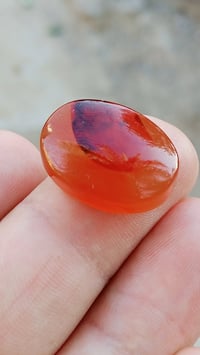 نوادر اليماني • الانسي المشمشي • غير مجمر