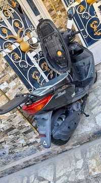 اكزز تريت ياباني • ماشية ١١ • أوراق كاملة