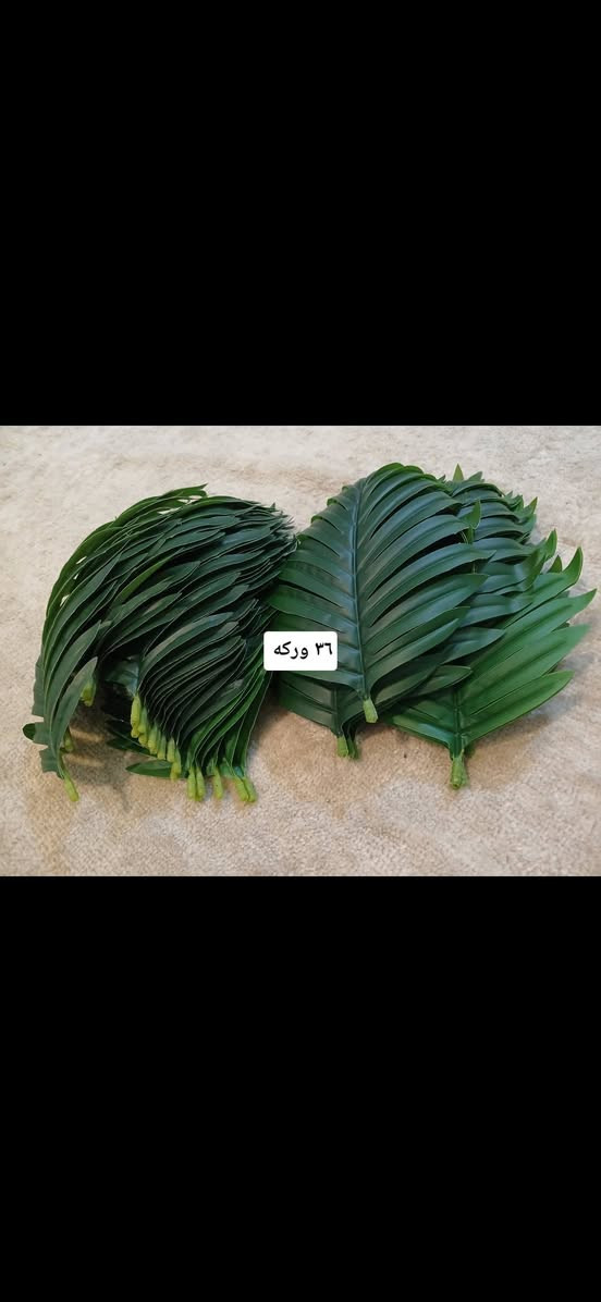 غراض امزون للبيع عندي توصيل بغداد ٥ الف محافظات ٥ الف


**إذا كنت صاحب هذا الإعلان وتريد حذفه لأي سبب، رجاءا أرسل رسالة إلى الدعم الفني**