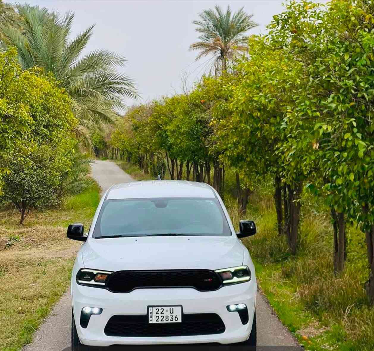 موديل ٢٣ جي تي فول مواصفات عدا الفتحه رقمً اربيل بسمي سنويه ورقمً وهزه كله جديد مكانها بغداد ماشيه ٢٤ الف ضررها نص الجاملغ امامي صبغ وتبديل جنطه ابلادي بدون صبغ بدون ايرباك  سياره جديده سعرها ٢٨٠ $ ***********
